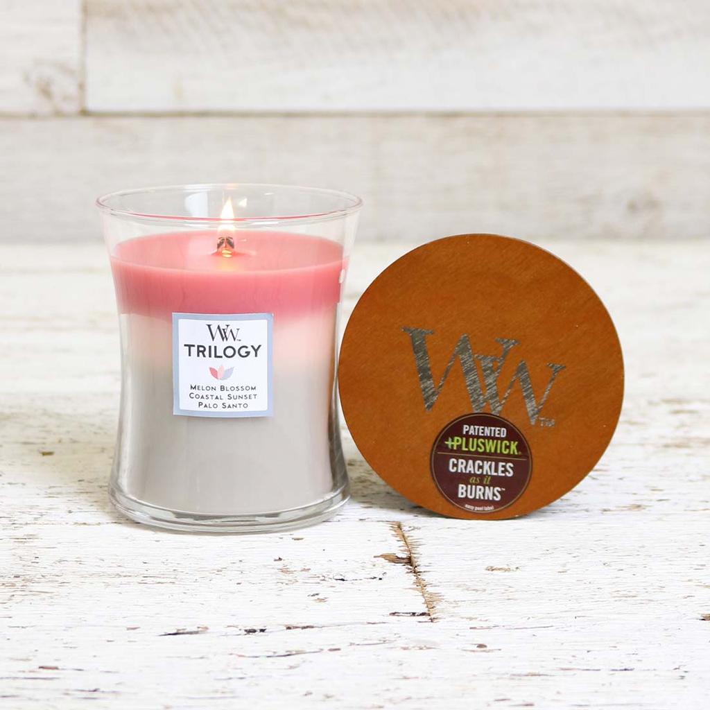 WoodWick Shoreline Medium Trilogy Candle